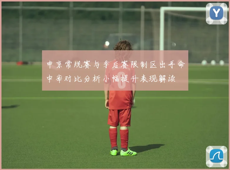 申京常规赛与季后赛限制区出手命中率对比分析小幅提升表现解读