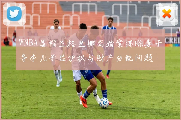 WNBA盖帽王格里娜离婚案揭晓妻子争夺儿子监护权与财产分配问题
